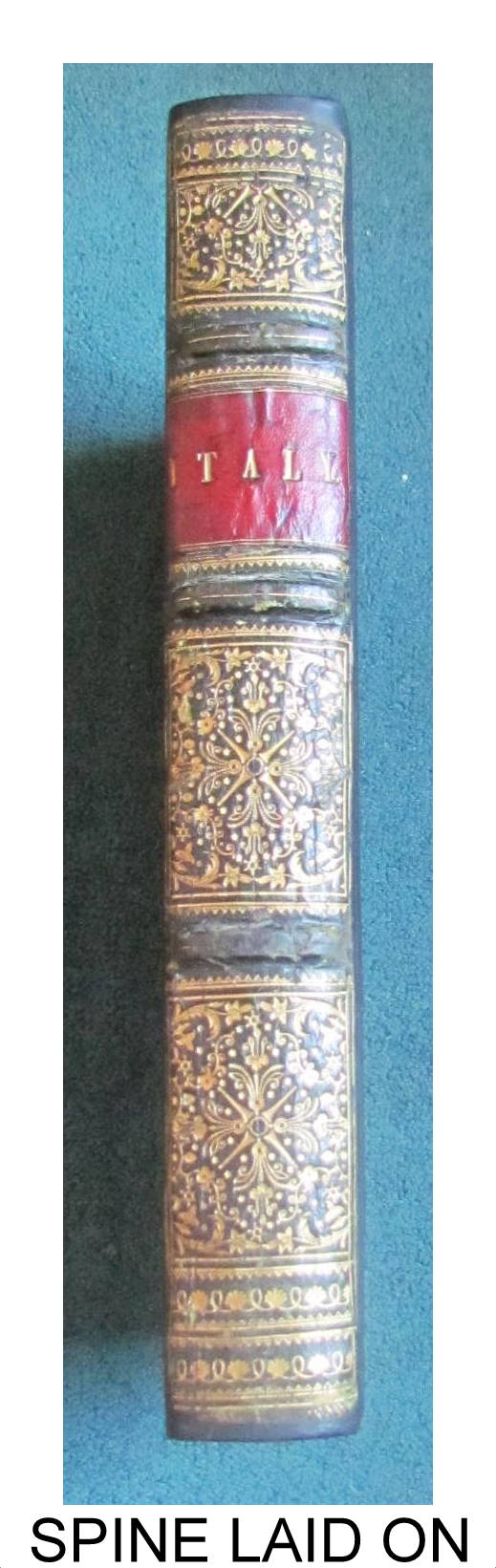 ITALY, CLASSICAL, HISTORICAL, AND PICTURESQUE, ILLUSTRATED IN A SERIES OF VIEWS.