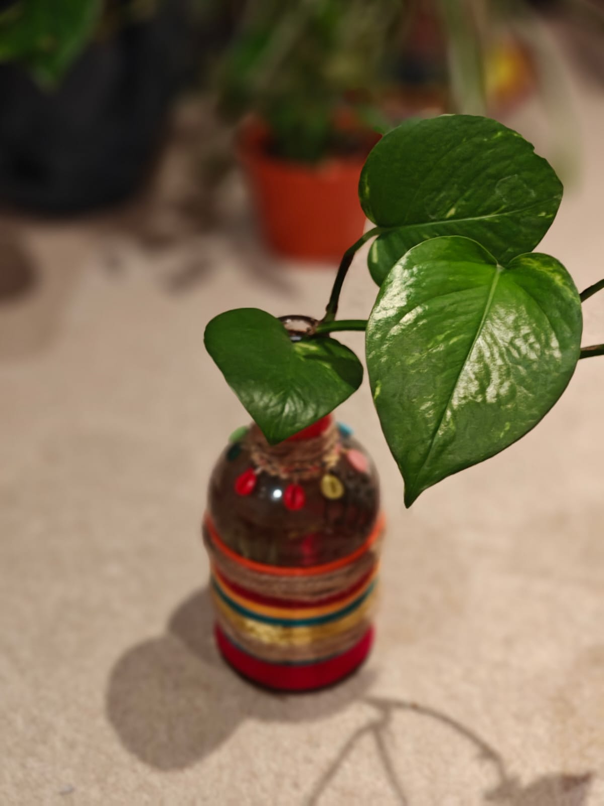 Hand crafted Decorated Bottle with Money Plant | Home & Office Decor
